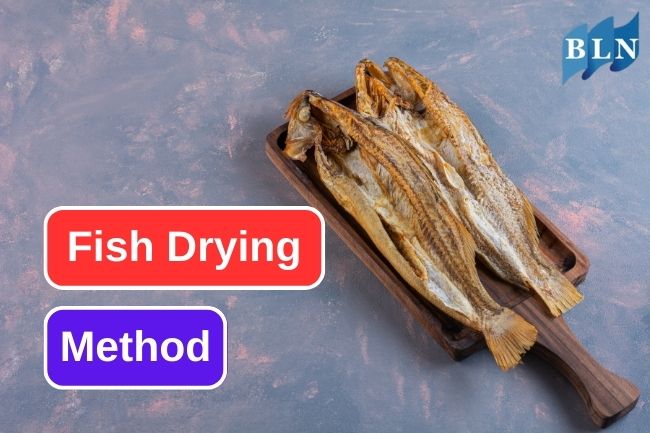 This is how drying fish works for preserving fish